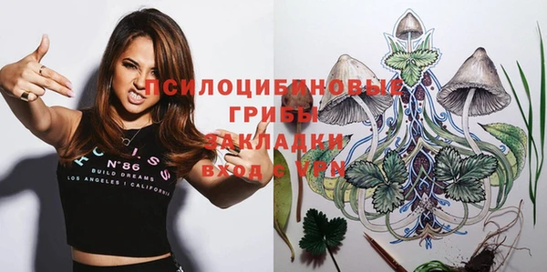 не бодяженный Белокуриха