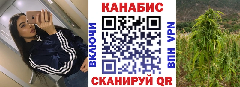 Каннабис планчик  MEGA рабочий сайт  Горно-Алтайск  закладка 